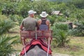 Two tourists to ride on elephant in forest, northern Thailand