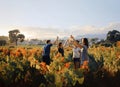A group of tourists toasts one another at winery in Bordeaux France