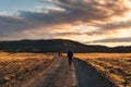 Group of tourists trekking on dirt road among volcanic area in the sunset at Iceland Royalty Free Stock Photo