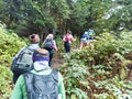 Group of tourists on trekking in forest
