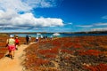 A group of tourists visiting Isla Plaza Sur