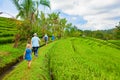 Group of tourists walking by path with rice fields view Royalty Free Stock Photo