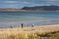 Group of tourists walking along the coast of the Barents Sea