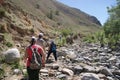 A group of tourists walks along a stone path with rare vegetation in Altai in summer.