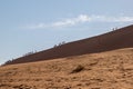 A group of tourists walks along the top of a sand dune in the Namib Desert against the background of a blue sky Royalty Free Stock Photo