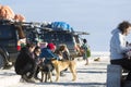 Group of tourists and 4x4 cars at the Isla Incahuasi in the Salar Uyuni