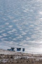 Group of travelers car parking on frozen lake Baikal in Siberia in winter Royalty Free Stock Photo