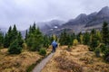 Group travelers trekking on trail in autumn forest on gloomy at Assiniboine provincial park Royalty Free Stock Photo