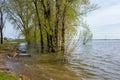 A group of trees and a bush invaded by water