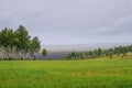 Group of trees in a field of green grass on a background of hills