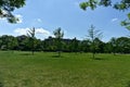 A group of trees on a park with a background of houses and cloudy blue sky in a summer day in Jarry park, Montreal, QC. Hope,