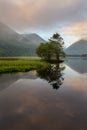 Group Of Trees Reflecting In A Calm Lake At Brotherswater In The Lake District, UK.