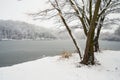 Group of trees in snow on bank of forest lake or river with frozen ice water. Winter Royalty Free Stock Photo