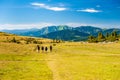 Group of trekkers hikers with backpacks descending with veiw of Maramures ridge from Rodna Mountains, Muntii Rodnei National Park