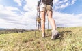 Group of trekkers making an excursion Royalty Free Stock Photo