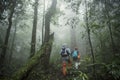 Group of Trekking in rainforest jungle. adventure and explorer