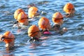 Group of triathletes wearing orange bathing caps in the water