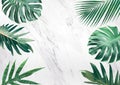 Group of tropical leaves on marble background.Copy space.Nature Royalty Free Stock Photo