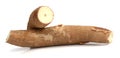 Yuca. Royalty Free Stock Photo