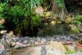 group of turtle sitting near pound side