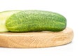 Fresh green cucumber isolated on white Royalty Free Stock Photo