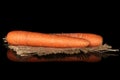 Fresh orange carrot isolated on black glass Royalty Free Stock Photo