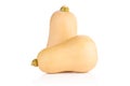 Smooth pear shaped orange butternut squash waltham isolated on white Royalty Free Stock Photo
