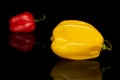 Hot chili habanero isolated on black glass