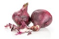 Stale red onion isolated on white