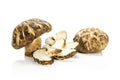 Fresh raw shiitake mushroom isolated on white Royalty Free Stock Photo