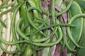 Group of typical pod vegetables of Spain
