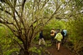 Group of unidentified tourists hiking in the Royalty Free Stock Photo