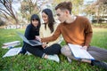 Group Of University Students asian sitting on the green grass  Working and reading Outside Together in a park Royalty Free Stock Photo