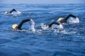 Group of unknown Swimmers at sea.