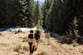 Group of unprepared tourists walk in the mountains, go down them on a snowy trail through the woods Royalty Free Stock Photo