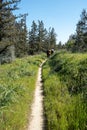 Group of unrecognised people walking outdoors in nature in spring. Healthy lifestyle. Hiking and exercising