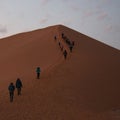 Group of unrecognizable people walking up Dune 45 in the Namib desert. Seen from their back. Namibia Royalty Free Stock Photo