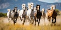 Group of untamed horses sprinting through expansive grasslands, concept of Powerful freedom