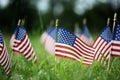 Group of American flags in green grass Royalty Free Stock Photo