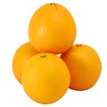 Group of Valencia orange or Navel orange