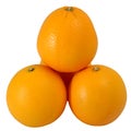 Group of Valencia orange or Navel orange