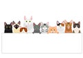 Group of  various cats with white board Royalty Free Stock Photo