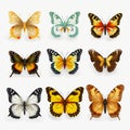 Realistic Butterfly Icons On White Backgrounds