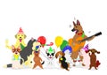 Party dogs group Royalty Free Stock Photo