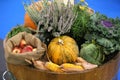 Group of various vegetables and fruits as an autumn background Royalty Free Stock Photo