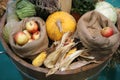 Group of various vegetables and fruits as an autumn background Royalty Free Stock Photo