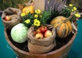 Group of various vegetables and fruits as an autumn background Royalty Free Stock Photo