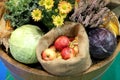 Group of various vegetables and fruits as an autumn background Royalty Free Stock Photo