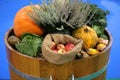 Group of various vegetables and fruits as an autumn background Royalty Free Stock Photo