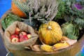 Group of various vegetables and fruits as an autumn background Royalty Free Stock Photo